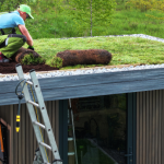 Daugliesi Giacomasi Souza