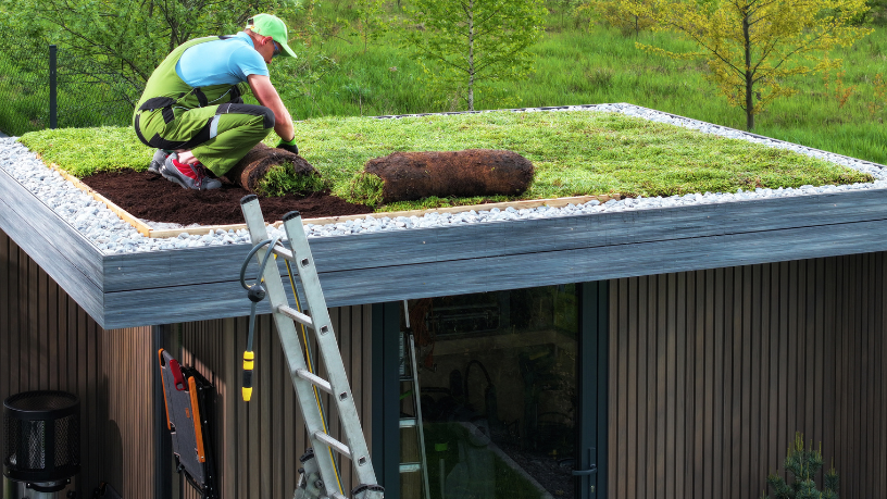 Daugliesi Giacomasi Souza